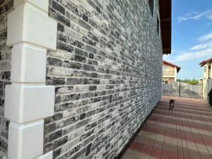 TD 06-122 - MILENIUM DECORATIV (8)